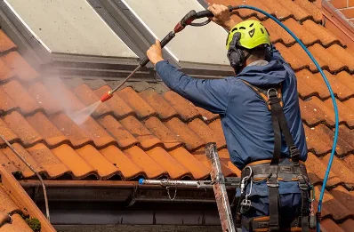 Démoussage et hydrofuge de toiture à Rambaud